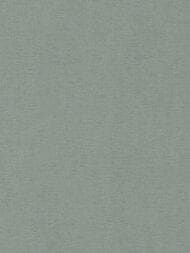 ���� ��������� �� ��������� Rasch Salsa (0,53�10,05) ������� 449846 (���.)