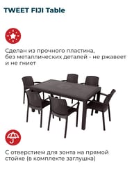 ���� TWEET FIJI Table (160.5�94.5�75) �������������, �����