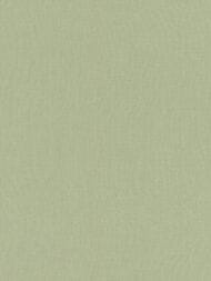 ���� ��������� �� ��������� Rasch Allegretto (0.53x10.05) ���������, ������� 423938 (���.)