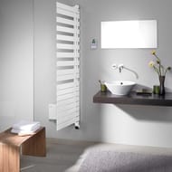 ����������������� �������� Zehnder Roda Air ROEL-100-55/IPS (968�550) �������������, ����: �����