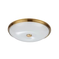 ��������-���������� ���������� Odeon Light Pelow 4956/5, ������