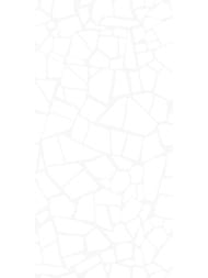 ������ ��������� AltaCera ������� (249x500) WT9SML00 (��.�)