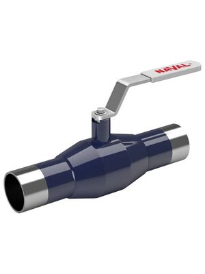 ���� ������� �������� ��� ������ NAVAL DN 65, PN 25 284410