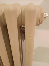 ������! �������� Zehnder Charleston 2040 �������������, ������� �����. 3/4", 6 ������, ����: 0054