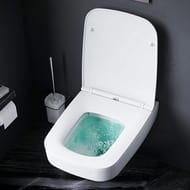 �������� ����������� AM.PM ������� Pro S �����.���� + ������ Inspire V2.0 FlashClean ������� �/���� IS47051.50A1700