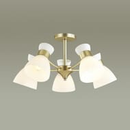 ������ �� ������ Lumion Wilma 4535/5C, ������