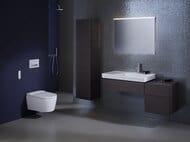 ������-���� GEBERIT AquaClean Sela ���������, ������ �����   146.224.11.1