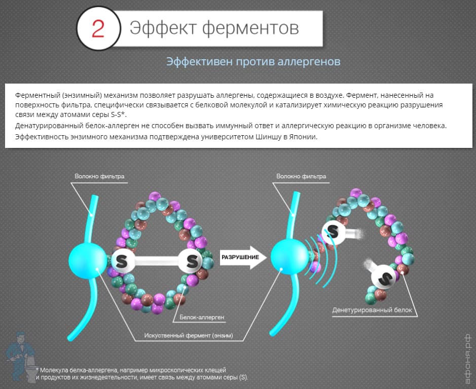 enzim3.jpg enzim3.jpg