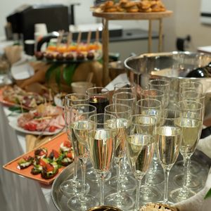 ����������� Salini - �������, ����������, ����������� � �����������