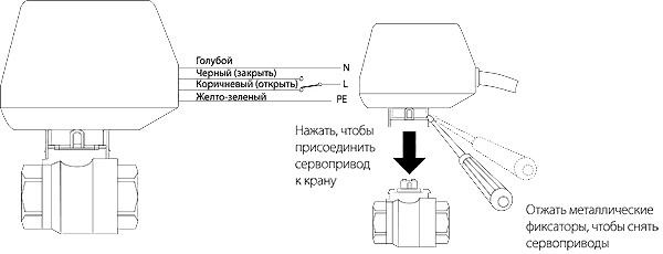 ������ ������� ���� Neptun