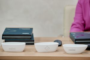 ������-������� ��������� � Salini