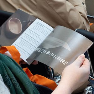 ����������� Salini - �������, ����������, ����������� � �����������