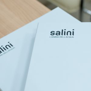  Salini - , ,   