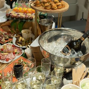 ����������� Salini - �������, ����������, ����������� � �����������