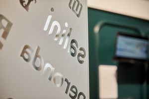 ������-������� ��������� � Salini