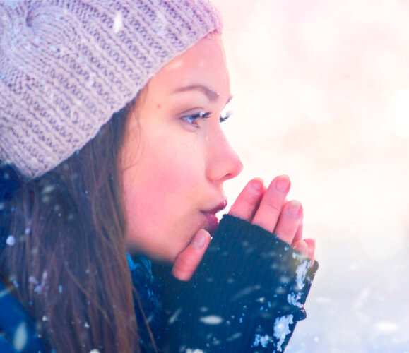 ������� ��������������� Ensto