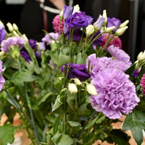 ����������� ����������� � �������� ��� ���������� � ������������ 2022