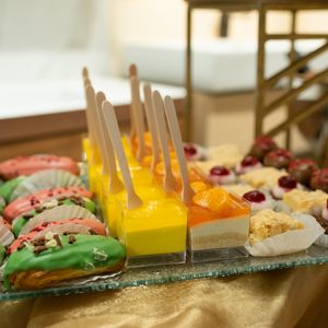 ����������� Salini - �������, ����������, ����������� � �����������