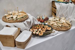 ������-������� ��������� � Salini